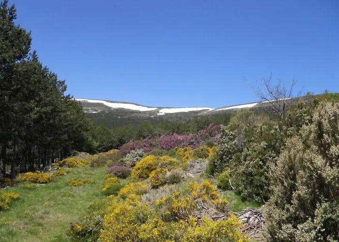 Rural Remanso Отель 4*